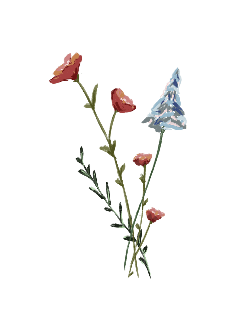 Decorative illustration